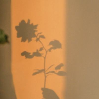 B体育·(sports)官方网站app下载