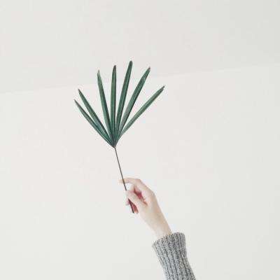 开云·全站app(kaiyun)